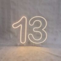 اجاره تابلو نئون عدد 13